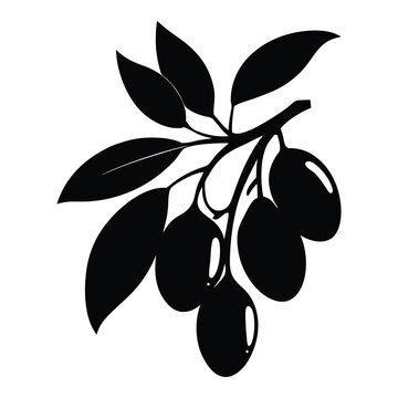 recommend clip art: kumquat fruit silhouette vector design