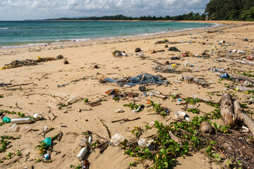 Pollution: garbages, plastic, and wastes on the beach