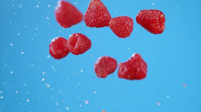 Explosion on fresh raspberries with water, flying in air after launch. High quality cinematic studio commercial super slow motion 1000fps shot of fresh berries moving up and down on a blue background.