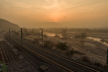 Sunrise at Swamp