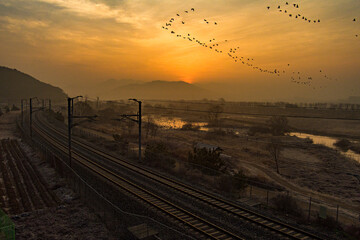 Sunrise at Swamp
