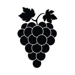 bunch of grapes illustration