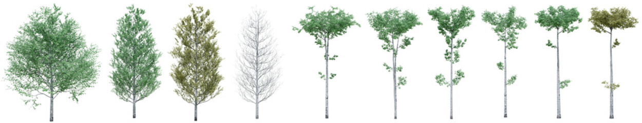 Obraz premium Collection of realistic large woods trees with isolated on transparent background. PNG file, 3D rendering illustration, Clip art and cut out 