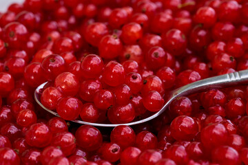 Red currant on green grass background in white cup, on the spoon