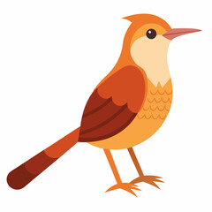 Cartoon Bird Vector Art Illustration