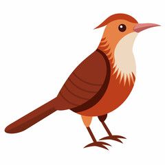 Cartoon Bird Vector Art Illustration