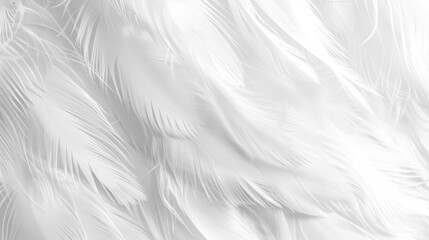 Obraz premium Detailed close-up of white feathers, highlighting their delicate texture and soft, intricate patterns.