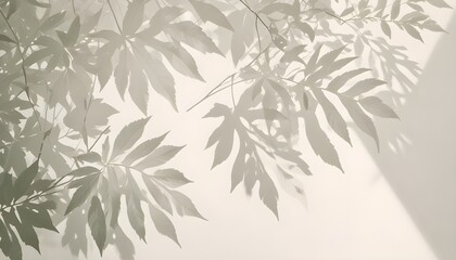 Naklejka premium White wall with shadows from leaves