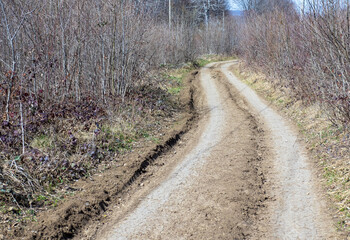 a natural forest road leading to the forest , traveling and walking in nature