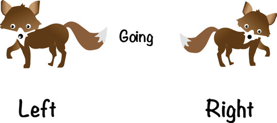 Opposite Words Left - Right