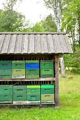 Bienenkästen oder Bienenstockkästen aus Holzkisten stehen in einen Holz-Ständer mit kleinem Dach...