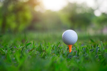 golf ball on tee in a beautiful golf course with morning sunshine