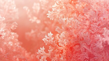 Soft coral background with a hint of shimmer and a subtle gradient, elegant, design, modern