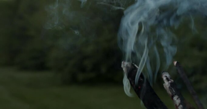 A torch burns out and plumes of smoke come from the branches