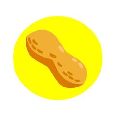 illustration of peanut