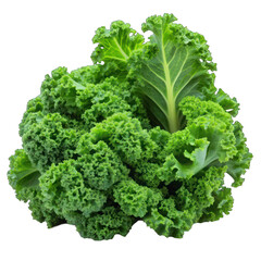 Fresh green kale isolated on transparent background
