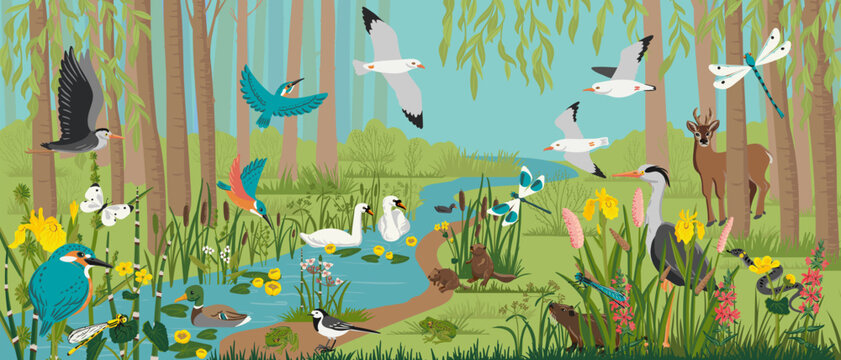 vector drawing landscape with summer river, forest with trees, wild animals and birds, insects and plants, wimmelbook, page of hidden picture book, natural background, hand drawn illustration