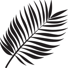 Fototapeta premium graphics, black and white drawing of a palm leaf