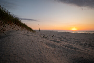 A close-up of blades of grass with water droplets growing from a sandy beach surrounded by dunes. Sunset in the background. Baltic Sea, Poland