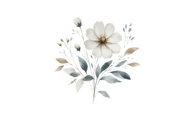 watercolor flower with isolated background