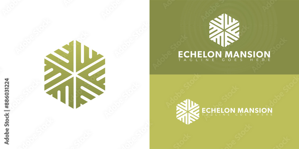 Poster abstract initial hexagon letter em or me logo in green color isolated on multiple background colors.