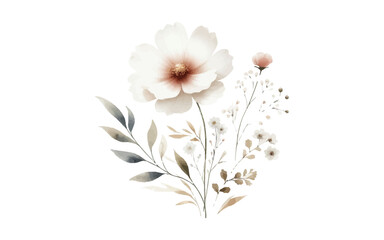 watercolor flower with isolated background