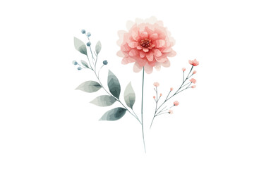 watercolor flower with isolated background