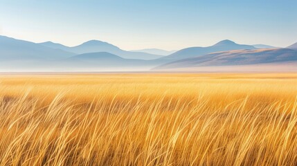 Golden grass field with distant mountains under a soft sunrise. The warm colors and serene African landscape evoke tranquility and natural beauty.