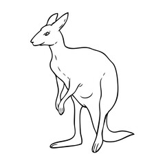 kangaroo outline vector illustration