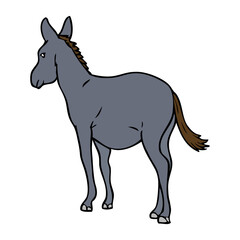donkey vector illustration
