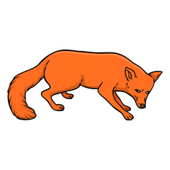 fox vector illustration