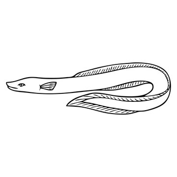 recommend clip art: eel outline vector illustration