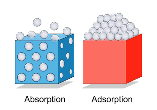 Adsorption and Absorption. Physical or chemical phenomenon.