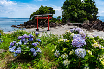 荒平天神（菅原神社）の鳥居と紫陽花