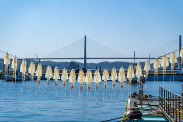 呼子大橋と呼子名産のイカの天日干し