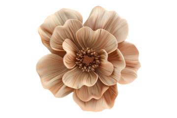 3D tan flowr clip art vector isolated on transparent background