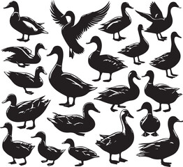 silhouettes duck, a group of silhouettes duck, black color isolated on white background vector and white background