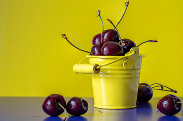Sweet cherries in a small yellow bucket on a table on a yellow background.