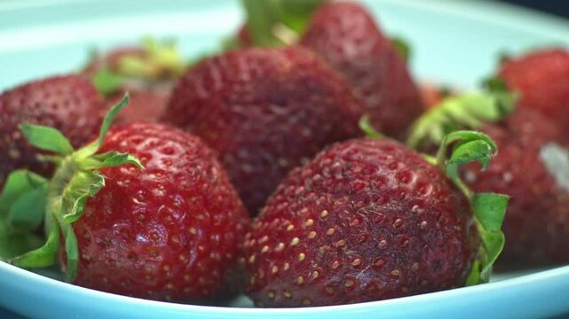 timelabs rotting and molding of strawberries
