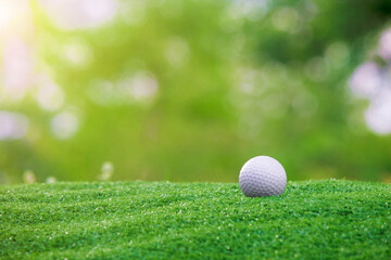 golf ball is on a green lawn in a beautiful golf course