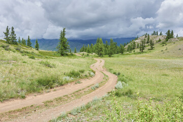 Obraz premium Dirt road in the mountains. Altai, Siberia, Russia