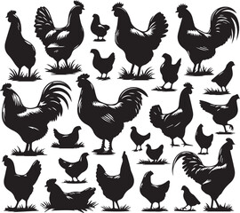 silhouettes Hen, a group of silhouettes Hen, black color isolated on white background vector and white background