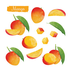 Set of Mango Design elements. watercolour style vector illustration.