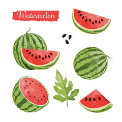Watermelon fruit Design elements set. watercolour style vector illustration.