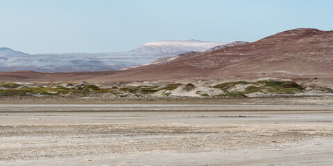 Fototapeta premium Desert Harmony. Paracas Reserve’s serene landscape showcases nature’s palette.