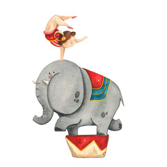 Watercolor illustration of a circus elephant on a stand and a gymnast on his head. Hand drawn on a white background. Clipart for decorating children's parties, cards, children's bedrooms and clothing © DemiLenka