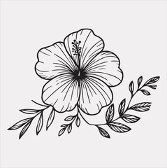 hibiscus flower line art silhouette vector on a white background