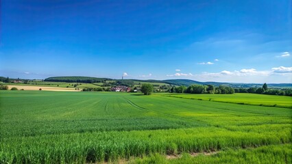 Fototapeta premium A scenic view of vibrant green fields under a clear blue sky, fields, nature, landscape, agriculture, countryside, grass