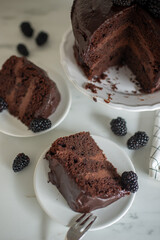  cake drenched in chocolate and garnished with blackberries