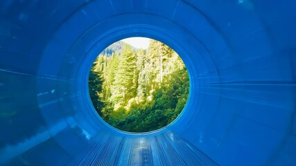Circular blue tunnel frames lush green forest. Illuminated path leads through modern structure to ancient woodland, blending futuristic design with pristine nature.	